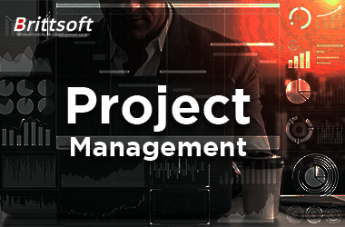 Project Management Online Training in USA